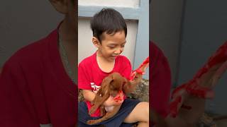 The baby cried and begged everyone to save the puppy that had an accident pet dog lovedog [upl. by Ayim913]