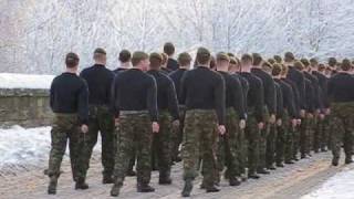 Coldstream Guards march for London Jan10 [upl. by Ylagam]