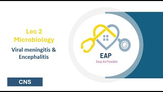 Lec 2  Microbiology  Viral meningitis amp Encephalitis  CNS 42 [upl. by Al]