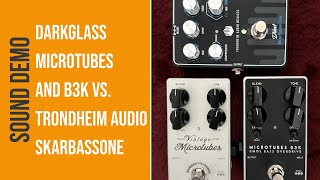 Darkglass Overdrives vs Trondheim Audio SkarBassOne [upl. by Llednek417]