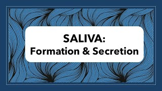 Saliva Formation amp Secretion [upl. by Sagerman]