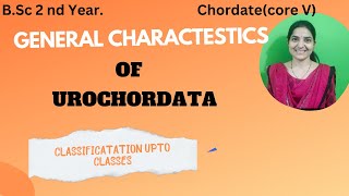 General Characteristics of urochordate bsc 2nd yearclassification of Urochordata3rdsemexam [upl. by Dave]