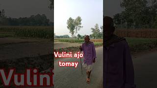 vulini ajo tomay vulini ami shortvideo bhulinitomay moumi cover [upl. by Bow341]