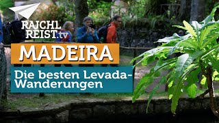 Madeira die schönsten LevadaWanderungen [upl. by Dnaltiac270]