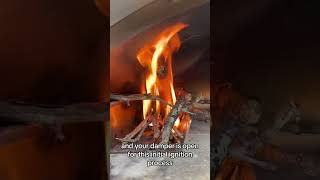 How to light a Fontana Forni Wood Fired Pizza Oven [upl. by Airemaj]