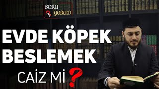 Evde Köpek Beslemek Caiz mi  Abdulkadir DAL [upl. by Alcus368]