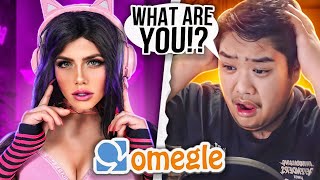 Voice Trolling Strangers On Omegle [upl. by Adnwahsor795]