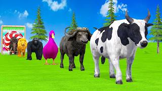 Paint amp Animals DuckGorillaLionElephantCowSheep Fountain Crossing Transformation Animal Cartoon [upl. by Bella]