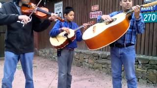 Cover Hermoso cariño violin vihuela y guitarron grupo Folklor [upl. by Holmes]