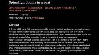 8 Spinal lymphoma in a goat [upl. by Aenneea]