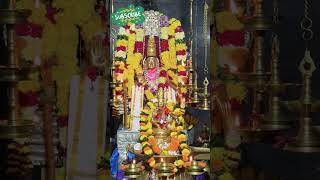 Ayyappa🕉️swamisaranamayyappatrending shortsfeed shorts shortvideo ayyappatemple [upl. by Myrah]