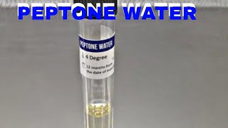 PEPTONE WATER  MICROBIOLOGY [upl. by Llednyl]