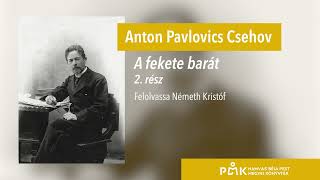 Anton Pavlovics Csehov A fekete barát  2 rész [upl. by Assek]