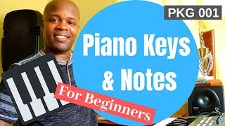 Piano Basics For Beginners  Notes and Keys [upl. by Biegel601]