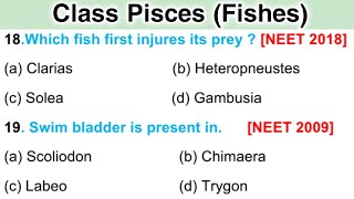 Class Pisces mcq  Animal kingdom Questions Answers [upl. by Nylanej]