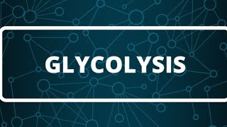 Biochemistry  Glycolysis part 1 كيمياء حيوية كيفية تحلل السكر [upl. by Allesiram]