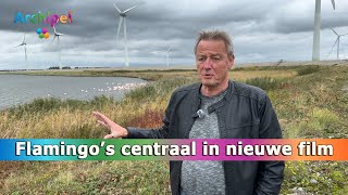 Filmmaker Ronald Faber zet flamingo’s centraal in nieuwe film [upl. by Adyan]