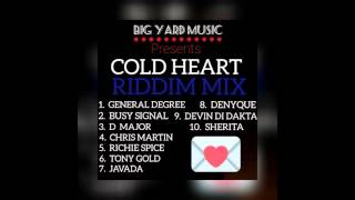 quotCOLD HEART RIDDIMquot MegaMix BIG YARD MUSIC General Degree Busy Signal Chris Martin [upl. by Fording]