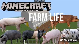 All breeds of pigs on the farm Addon in Minecraft PE [upl. by Eenram]