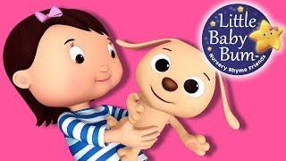 Little Puppy Song  Nursery Rhymes for Babies by LittleBabyBum  ABCs and 123s [upl. by Allison352]