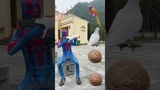 Rounding coconuts to Duck Peacock Pigeon amp Parrot Birds names magic video shorts [upl. by Lil]