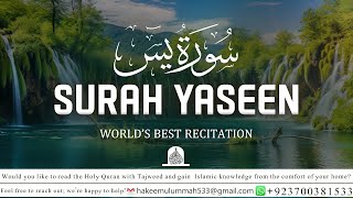 Surah Yaseen يس  Tranquil amp Heartfelt Recitation  Healing Voice for Inner Peace [upl. by Jessalin278]