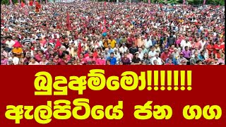 බුදුඅම්මෝඇල්පිටියේ ජන ගග [upl. by Fax]