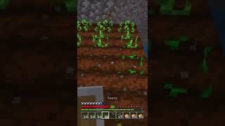 Farming Friday artist minecraft gaming [upl. by Lucilla]