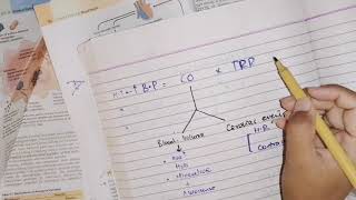 Hypertension part 1 CVS Pathology patho pathology cardiovascular [upl. by Charpentier]