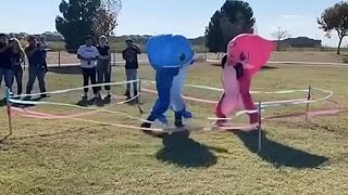 Crazy gender reveal party includes Baby Shark boxing match [upl. by Aneele]