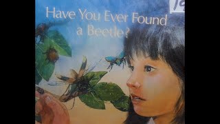 Have You Found a Beetle [upl. by Niboc]