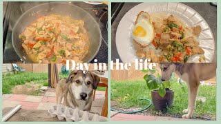 Days in the life  Hiking cooking Thai basil with pork Pad Kra Pao and planting  ผัดกระเพราหมู [upl. by Zerline]