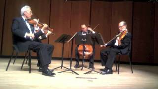 Guarneri Quartet  Beethoven String Quartet no 13 Op 130  V Cavatina Adagio molto espressivo [upl. by Ayhdiv395]