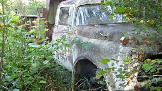 Abandoned 1950s Dodge dump truck barn find [upl. by Broderick]