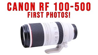 Canon RF 100500  First Photos review  S7 E10 [upl. by Canute168]