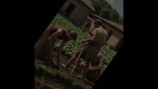 Daily Life in Ancient Rome ChroniclesEmpire edit reels shorts historyfacts historyfacts [upl. by Mokas]