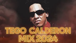 TEGO CALDERON MIX 2024  REGGAETON VIEJO MIX  REGGAETON CLASICO MIX 2024 [upl. by Oneg562]