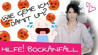 Trotzphase beim Kleinkind Das mache ich wenn mein Kind einen Bockanfall hat  Bockanfall Tipps [upl. by Lillith]