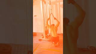 Back workout shortvideo viralvideo gymworkout exercise workout gym [upl. by O'Mahony]