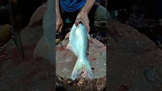 Pangasius Fish Cutting Skills shorts [upl. by Silohcin977]