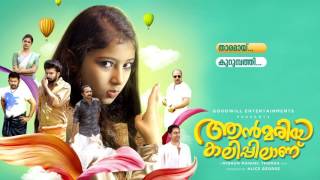 Ann Maria Kalippilaanu All Songs Audio Jukebox [upl. by Pentheas]