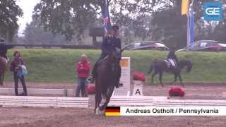 CIC SCHENEFELD 2013  DRESSUR [upl. by Clementas]