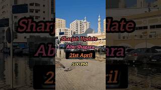 Sharjah Flood Update 21st April 2024 Abu Shagara sharjah flood abushagarah [upl. by Lienad384]