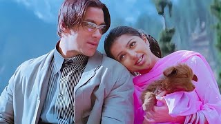 Tumse Milna Baatein Karna 🥀Salman Khan 🥀 Bhoomika Chawla 🥀 Tere Naam 🥀 Udit Narayan Alka Yagnik 🥀 [upl. by Malcom]