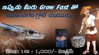 quotగ్రో ఫాస్ట్  రొయ్యల పెంపకంలో గేమ్ఛేంజర్quot  Order Now  8985345679  Available all over INDIA [upl. by Rimola517]