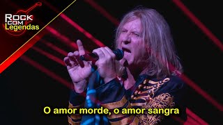 Def Leppard  Love Bites  Legendado  Interpretação da Letra [upl. by Silas]