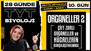 10 Organeller 2  9 Sınıf Biyoloji  2024 TYT Biyoloji Kampı 10 Gün [upl. by Servais]