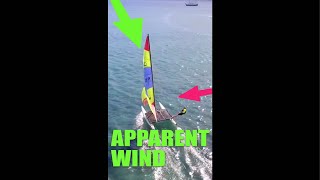 What is Apparent Wind  sailing term explained shorts [upl. by Brenna2]