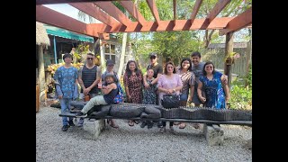 Florida everglades Airboat and Alligator Farm [upl. by Korns]