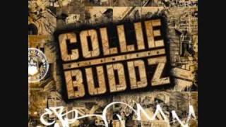 Collie Buddz  Wild Out [upl. by Blus]